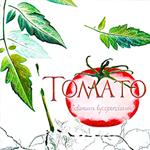 tomato